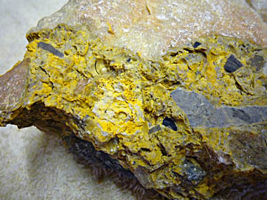 Click f&uuml;r gr&ouml;&szlig;eres Bild