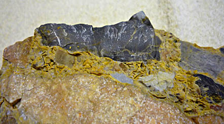 Click f&uuml;r gr&ouml;&szlig;eres Bild