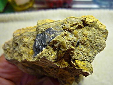 Click f&uuml;r gr&ouml;&szlig;eres Bild