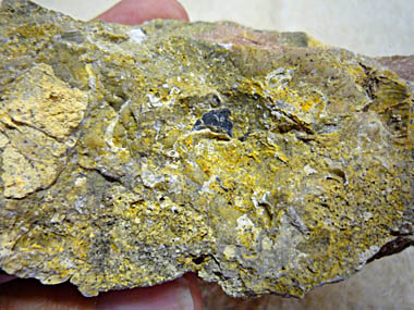 Click f&uuml;r gr&ouml;&szlig;eres Bild