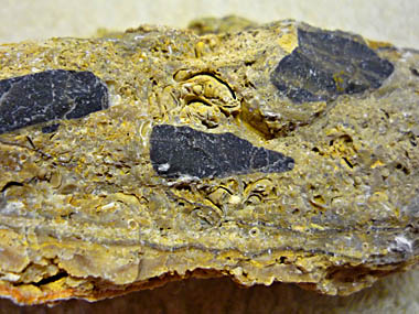 Click f&uuml;r gr&ouml;&szlig;eres Bild