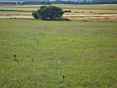 Click f&uuml;r gr&ouml;&szlig;eres Bild