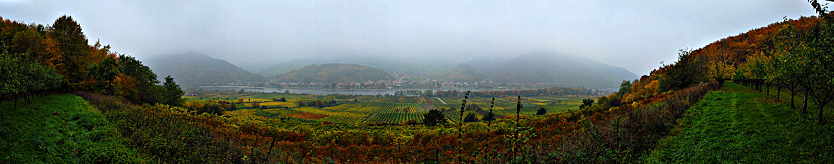 Obstgartenblick auf Spitz