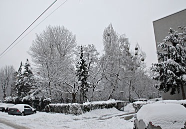 Klick f&uuml;r gr&ouml;&szlig;eres Bild