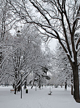 Klick f&uuml;r gr&ouml;&szlig;eres Bild