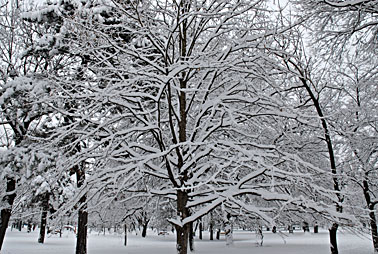 Klick f&uuml;r gr&ouml;&szlig;eres Bild