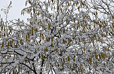 Klick f&uuml;r gr&ouml;&szlig;eres Bild