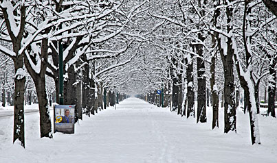 Klick f&uuml;r gr&ouml;&szlig;eres Bild