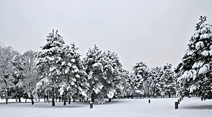 Klick f&uuml;r gr&ouml;&szlig;eres Bild
