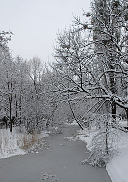 Klick f&uuml;r gr&ouml;&szlig;eres Bild