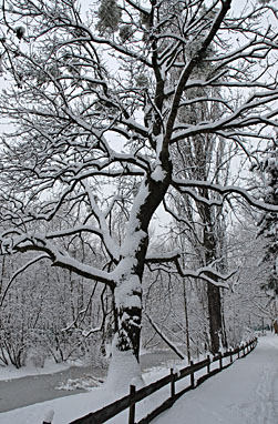 Klick f&uuml;r gr&ouml;&szlig;eres Bild