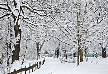 Klick f&uuml;r gr&ouml;&szlig;eres Bild