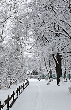 Klick f&uuml;r gr&ouml;&szlig;eres Bild