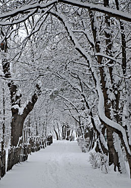 Klick f&uuml;r gr&ouml;&szlig;eres Bild