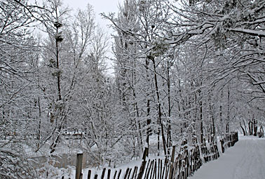 Klick f&uuml;r gr&ouml;&szlig;eres Bild