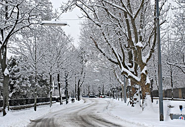 Klick f&uuml;r gr&ouml;&szlig;eres Bild