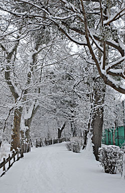 Klick f&uuml;r gr&ouml;&szlig;eres Bild