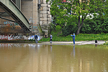 Hochwasser 2013 S-Bahnbr&uuml;cke